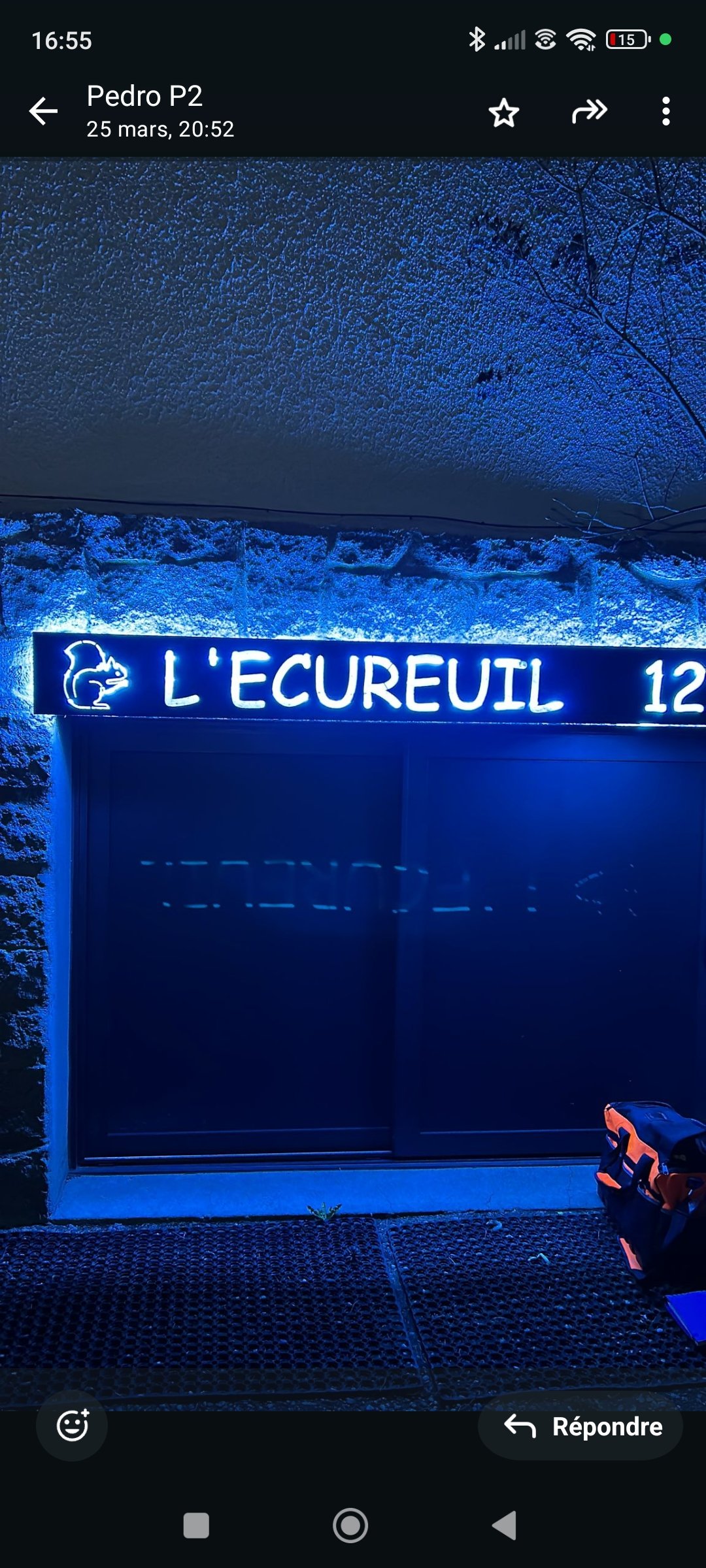 Chalet L'écureuil de nuit éclairage bleu